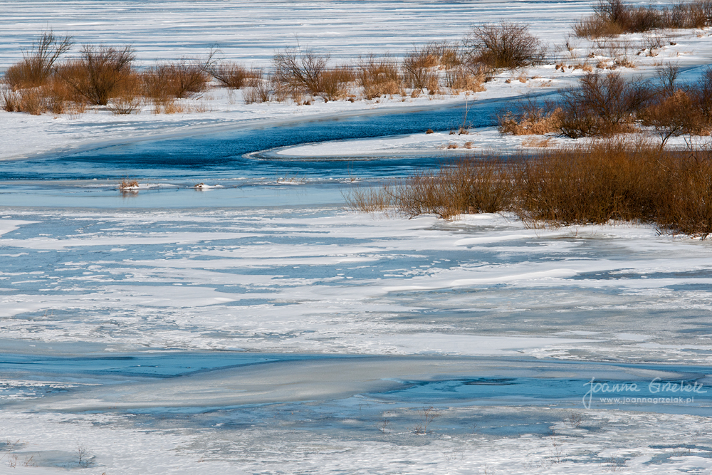 032_Biebrza - marzec 2013.jpg
